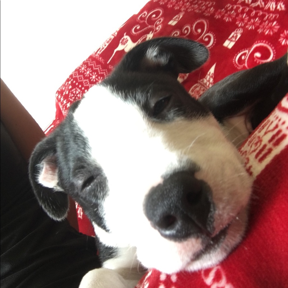 Meet your Posher, Kana